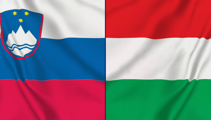 A gyenge kapcsolatok jelentősége (A szlovén–magyar irodalmi kapcsolatok a kelet-közép-európai irodalmak hálójában)