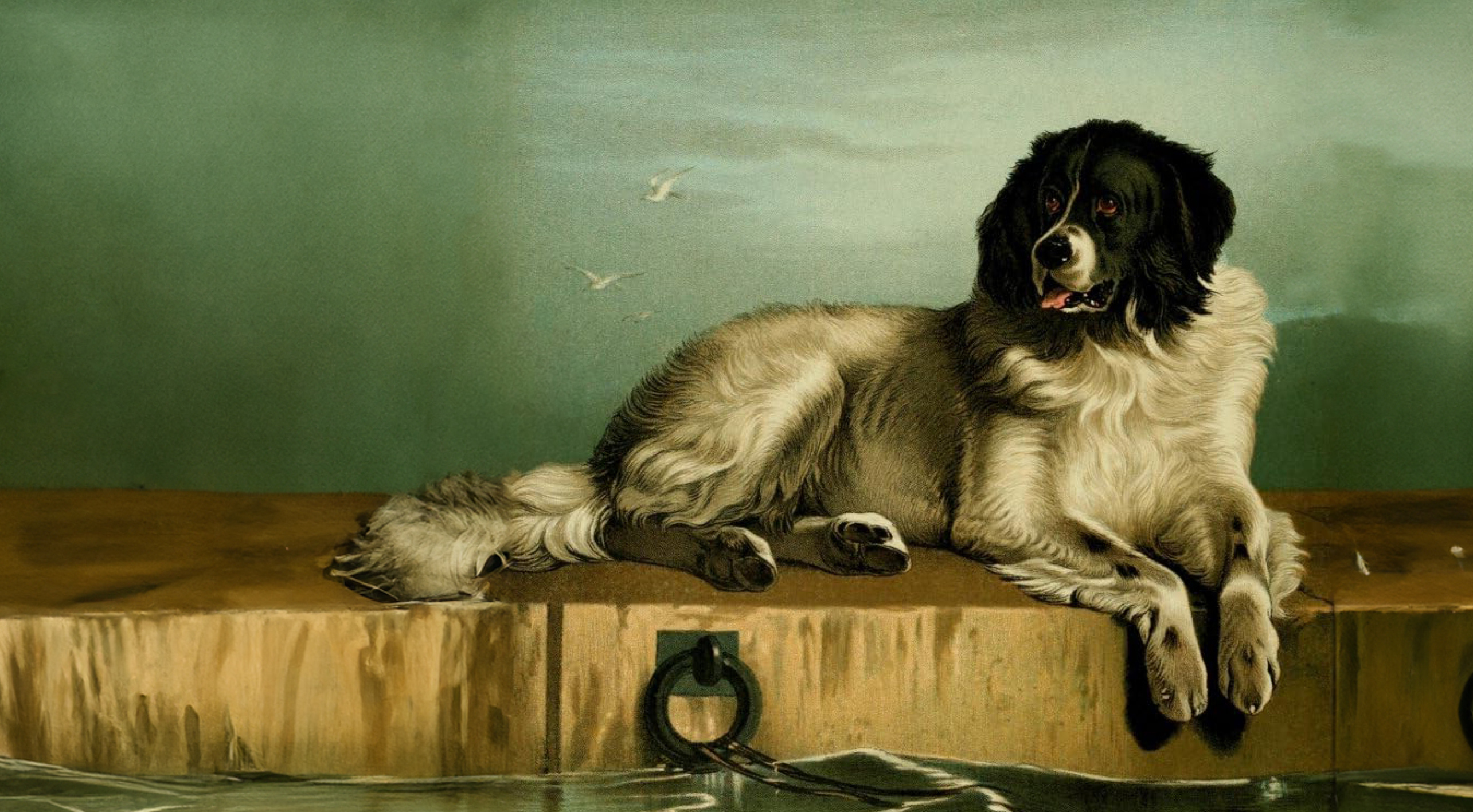 Lord George Gordon Byron: Felirat egy újfoundlandi kutya síremlékére