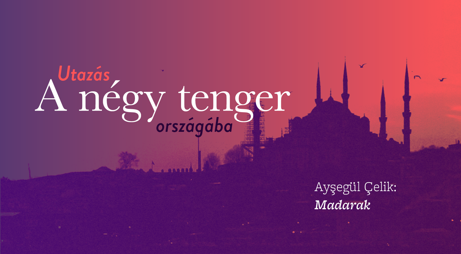 Ayşegül Çelik: Madarak