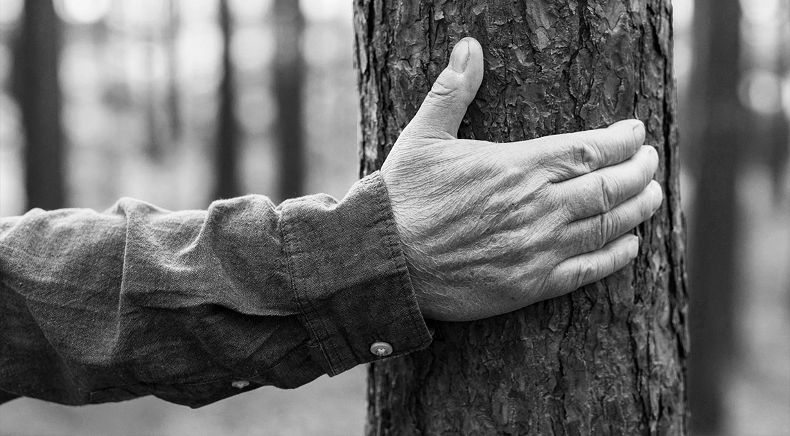 Mart van der Hiele: Alzheimer-óda