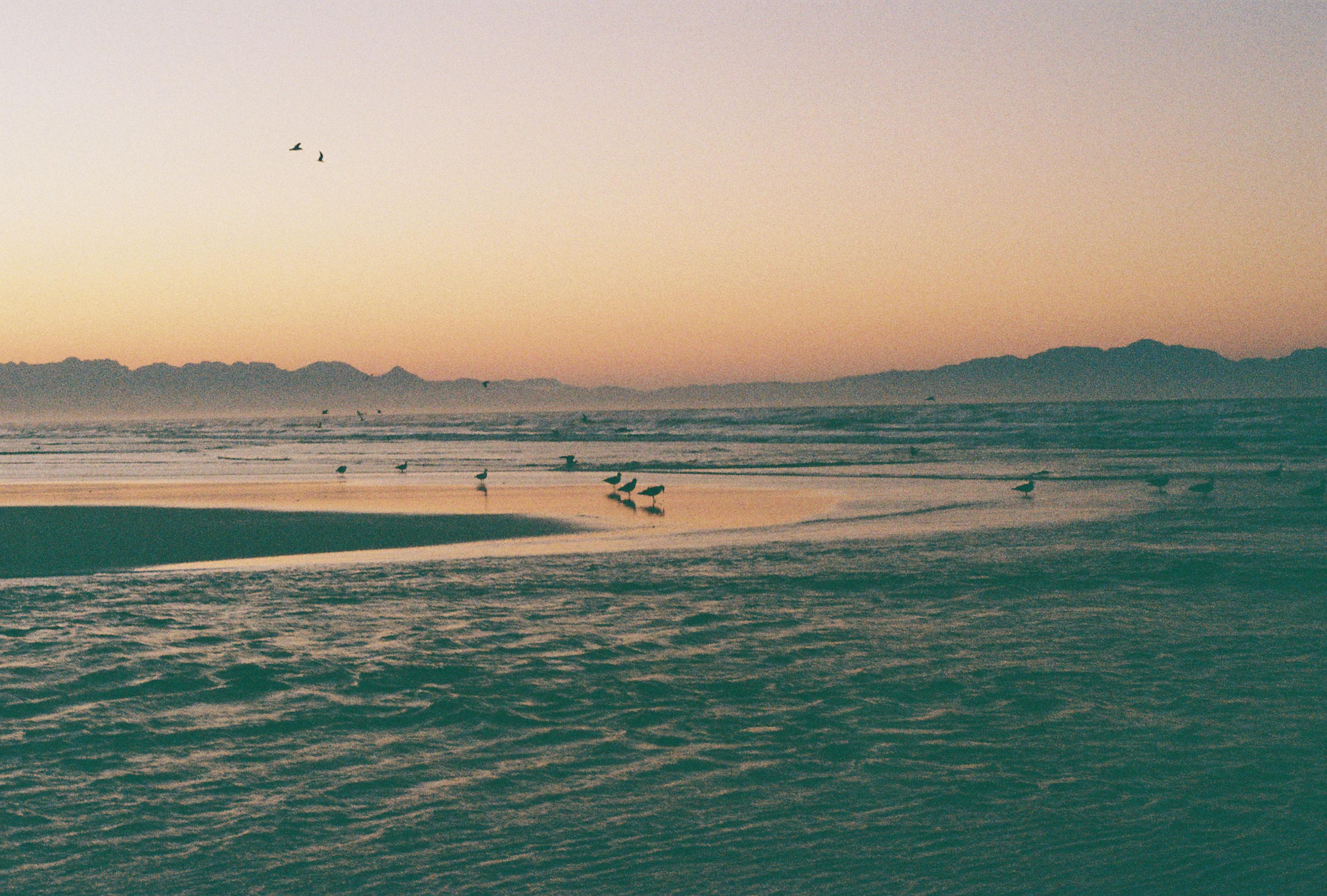 Andrés García Cerdán: Partvonal
