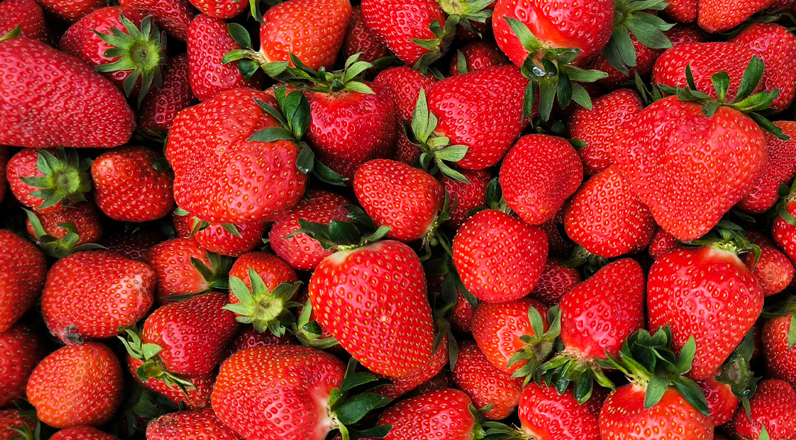 Andrés García Cerdán: Eper