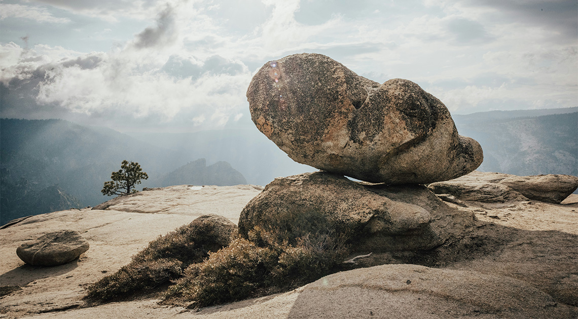 Tomaž Šalamun: History