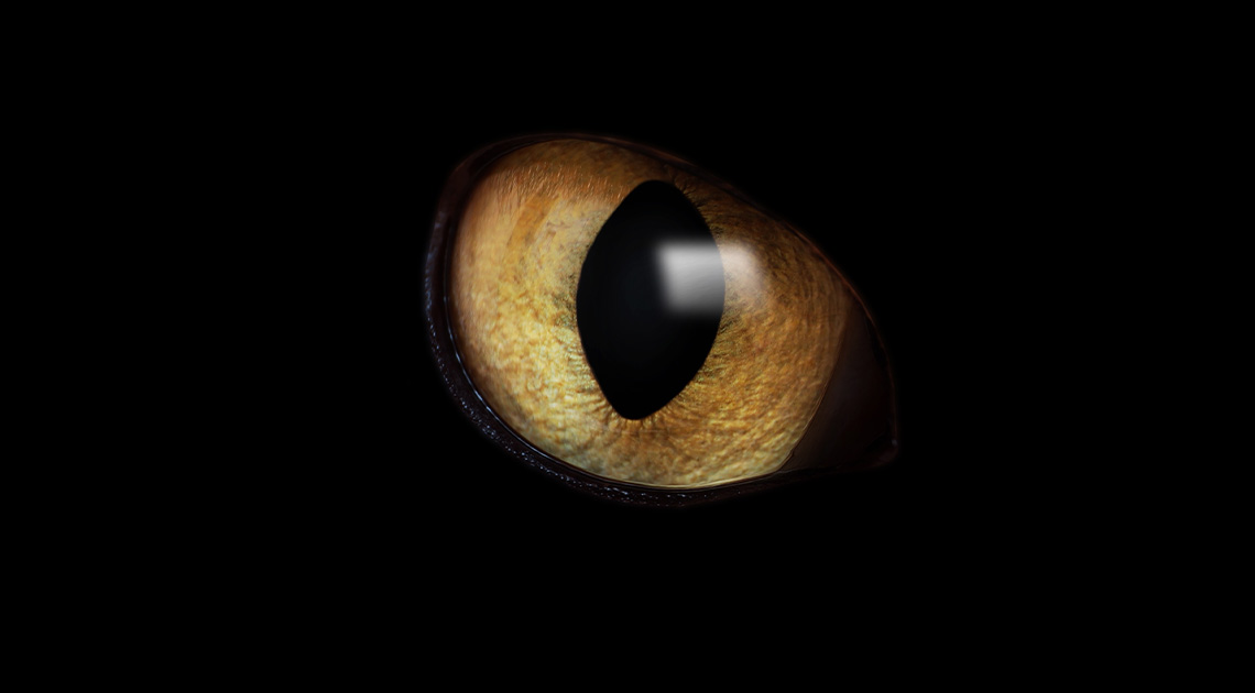 Rainer Maria Rilke: Orfeusz ürügyén, II/4