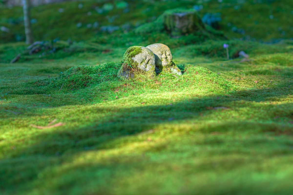 jizo_1976581_1920.jpg