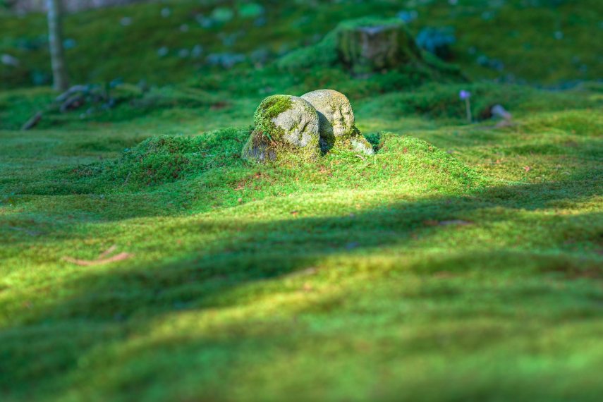 jizo_1976581_1920.jpg