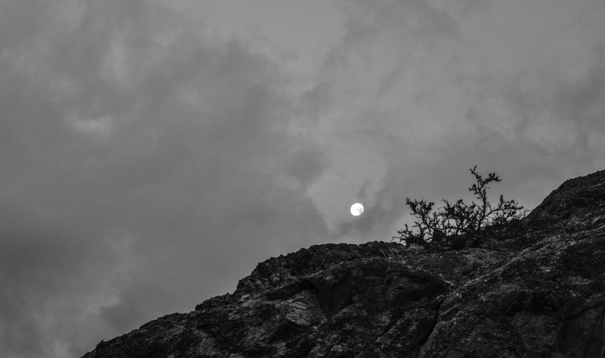 pexels_photo_3345075.jpeg