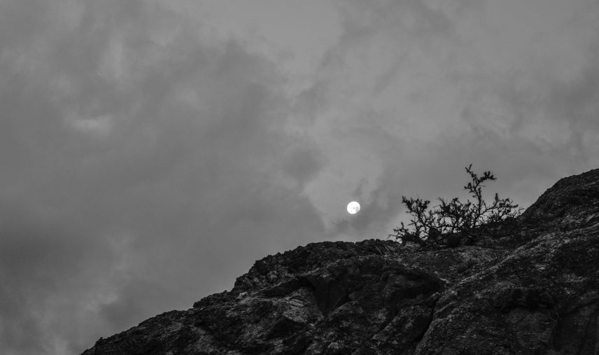 pexels_photo_3345075.jpeg