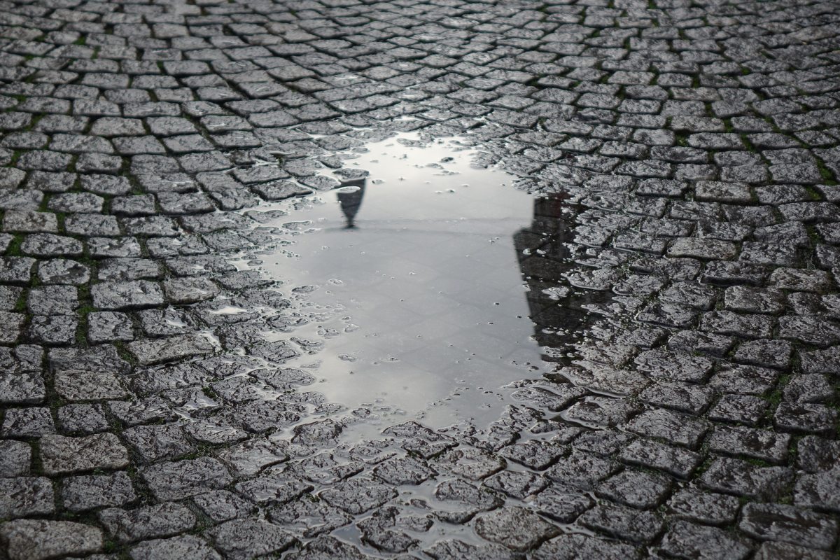 puddle_4695379_1920.jpg