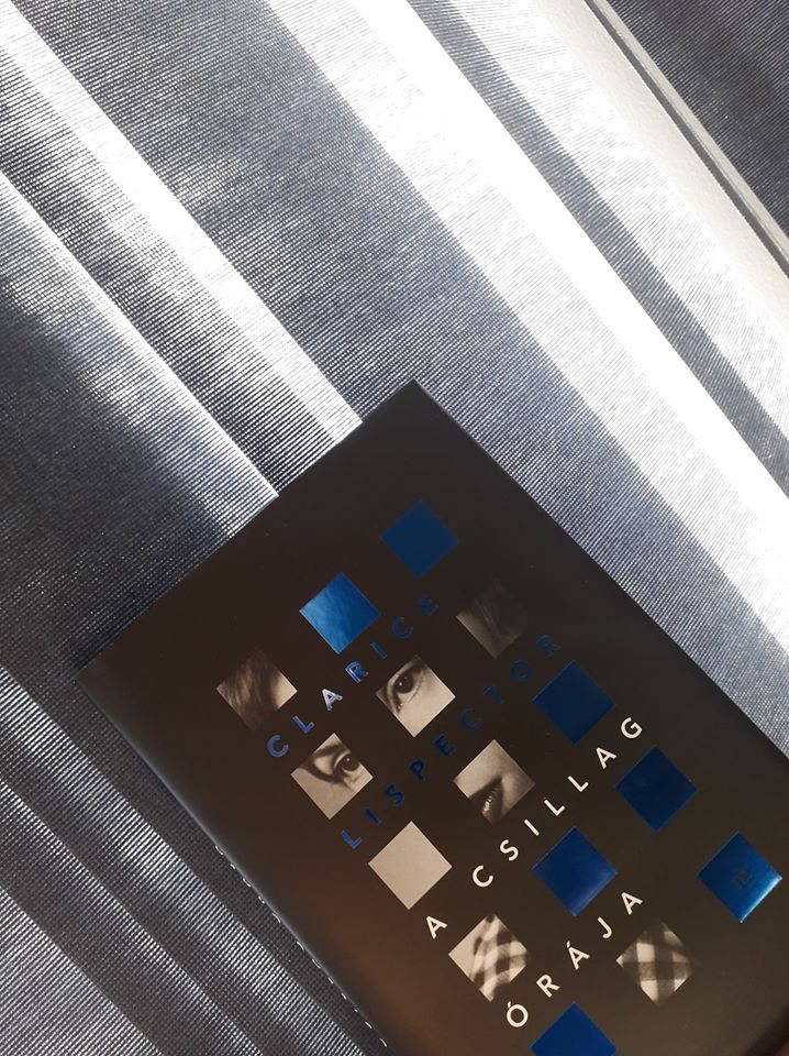 70266894_3008651589161529_6095499968250904576_o.jpg