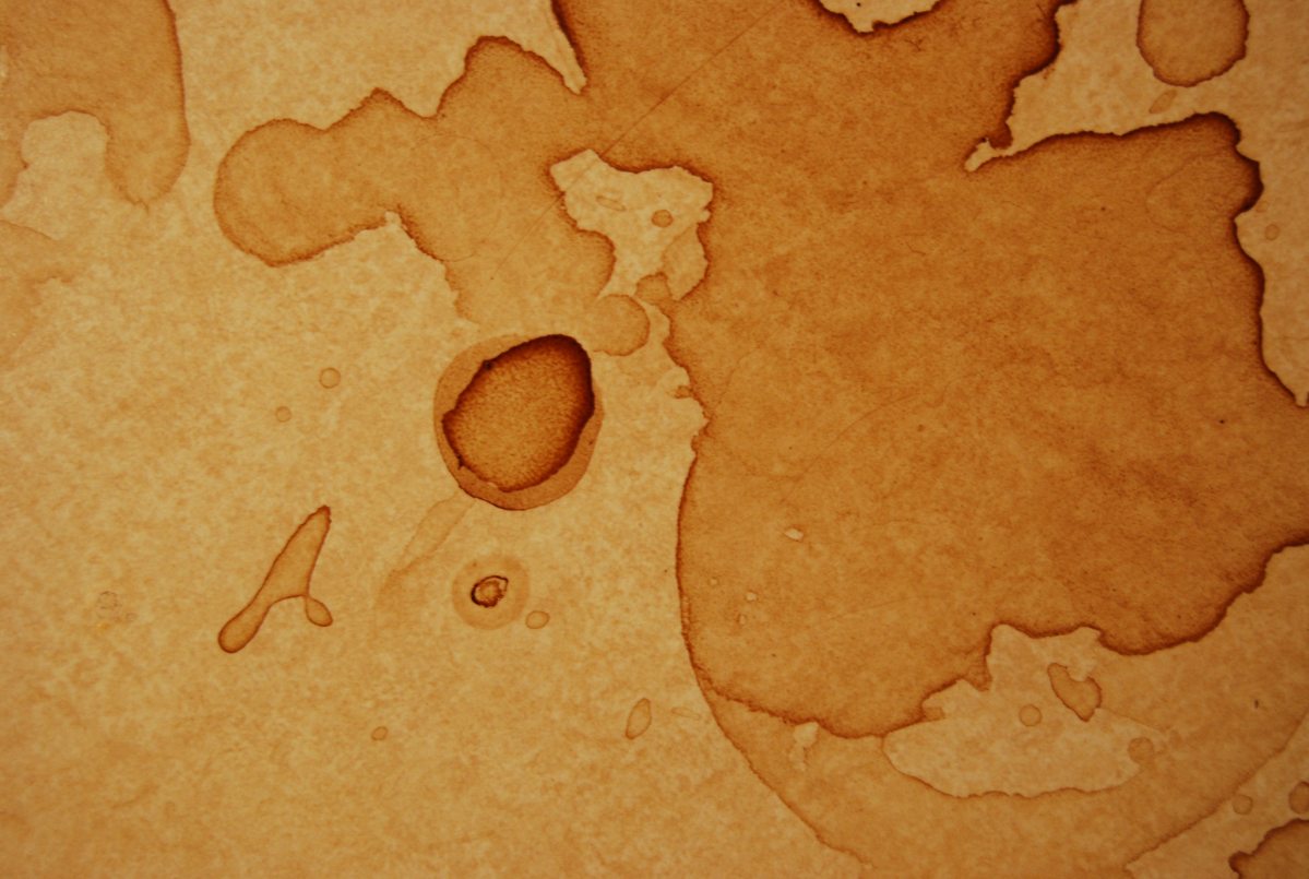 3731107975_58481403d1_k.jpg