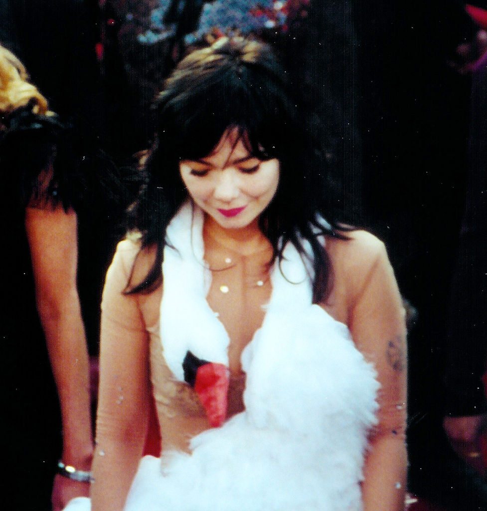 bjork_and_the_swan_dress.jpg