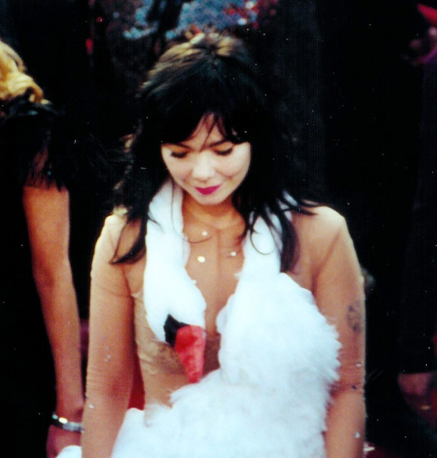 bjork_and_the_swan_dress.jpg