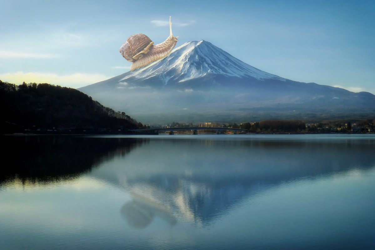 akunin_csiga.jpg