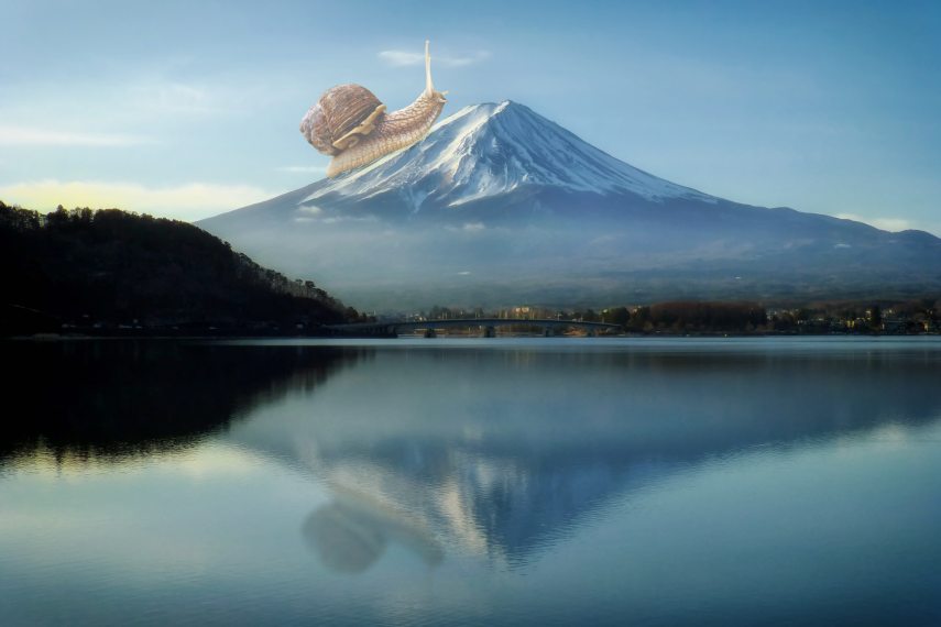 akunin_csiga.jpg