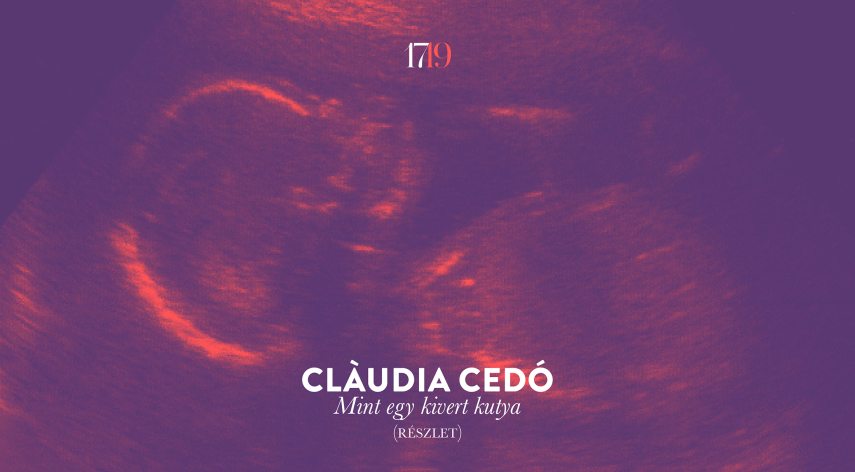 claudia_cedo_cms.jpg
