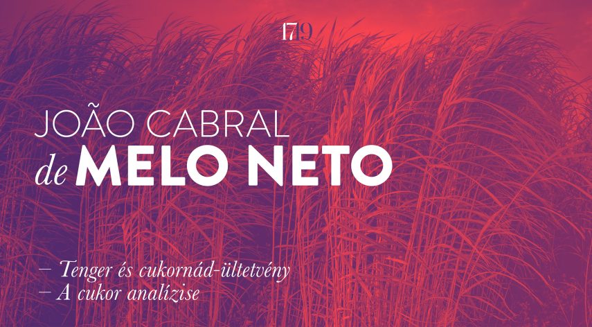 melo_neto_cukor_cms_jav.jpg