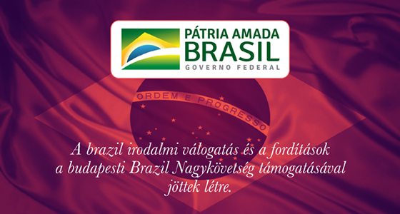 brazil_kovetseg.jpg