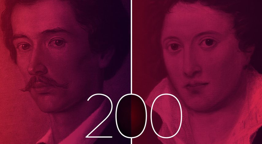 petofishelley200.jpg