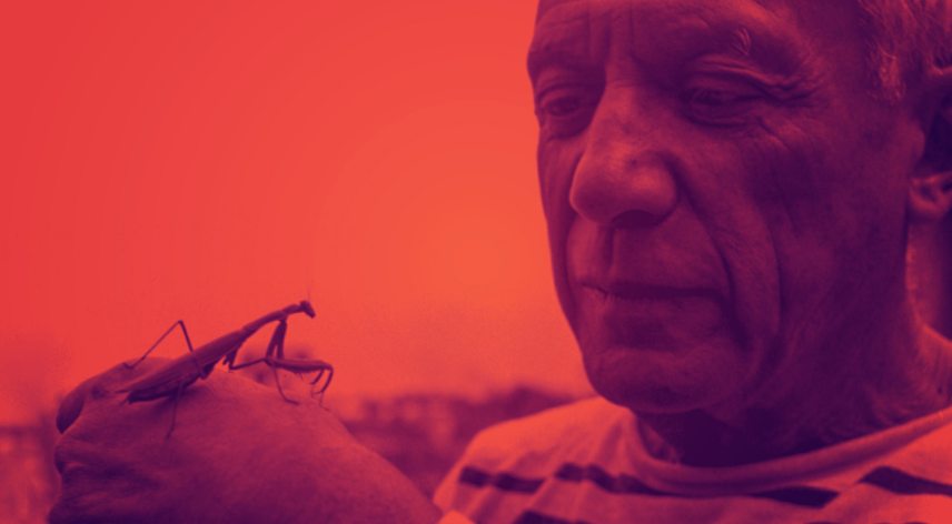 picasso_saskaval.jpg