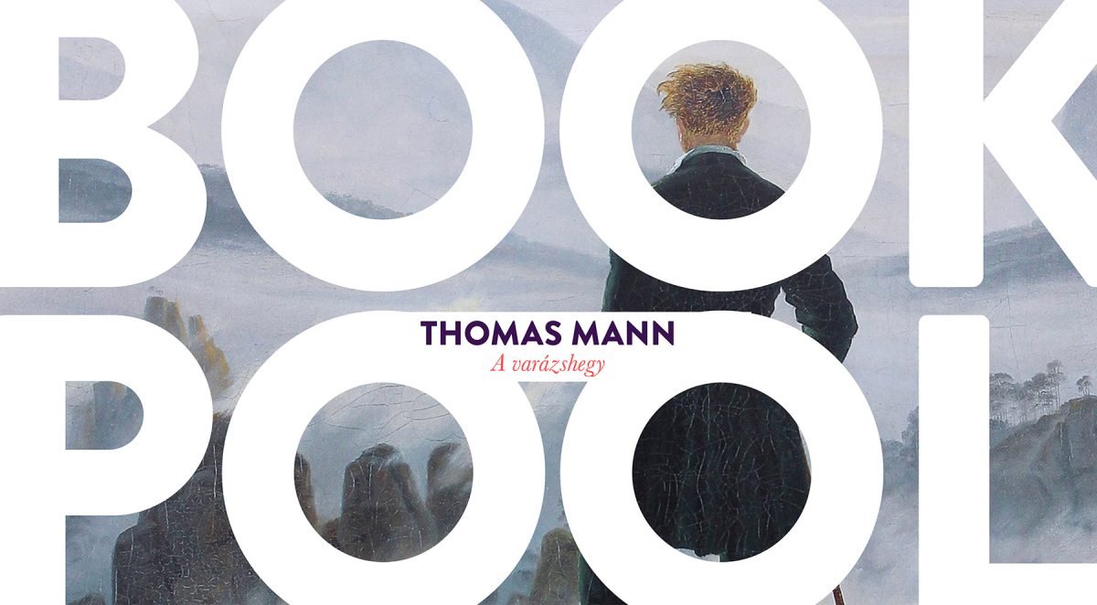 book_pool_thomas_mann.jpg