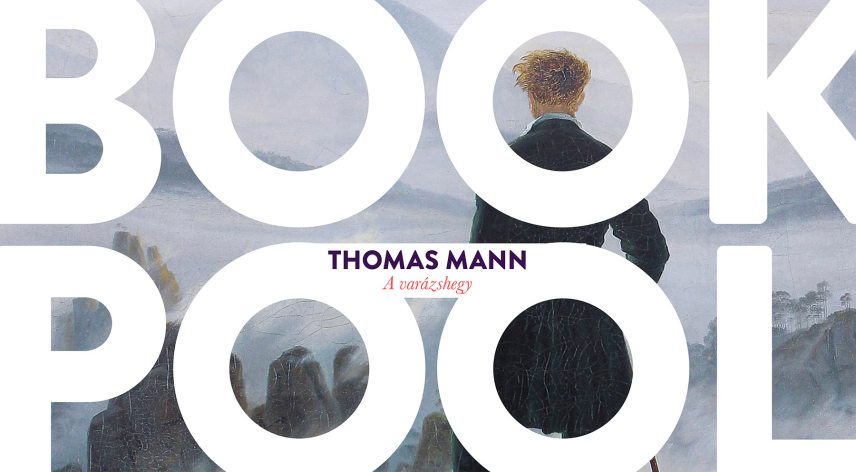 book_pool_thomas_mann.jpg