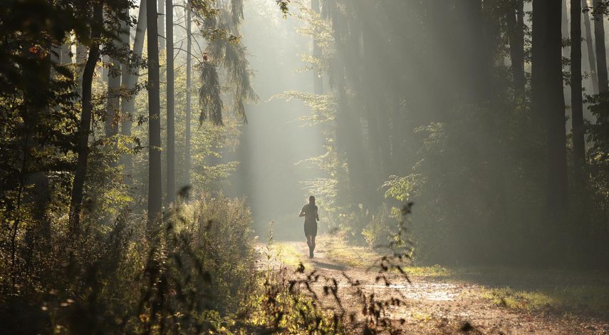 shutterstock_1527932804.jpg