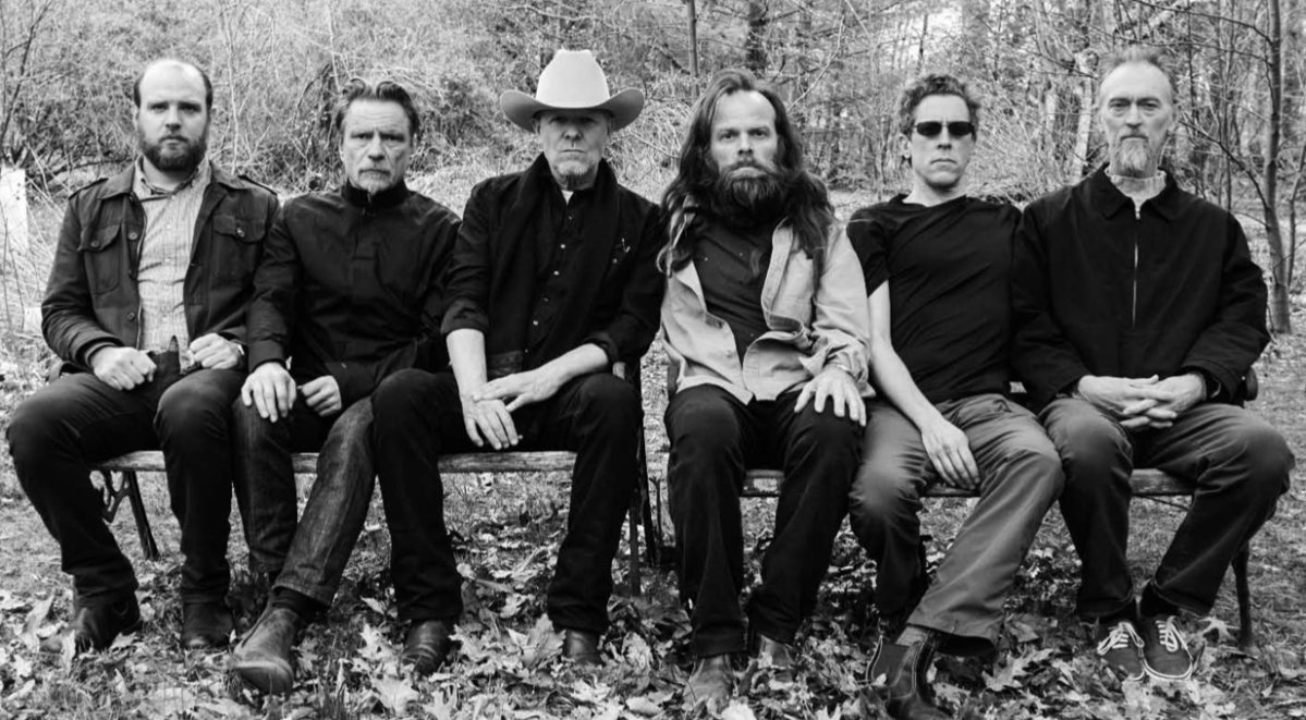 swans.jpg