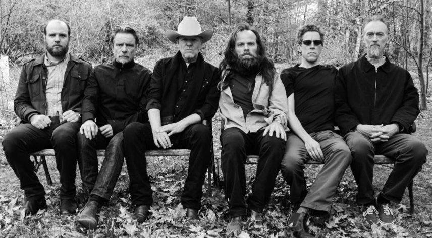 swans.jpg