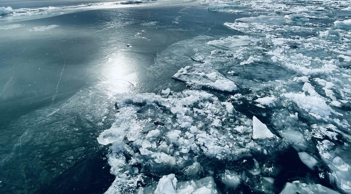 arctic.jpg