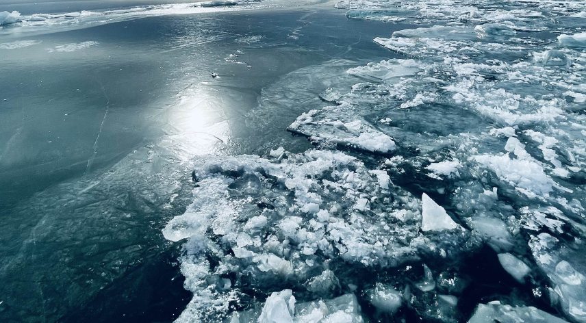 arctic.jpg