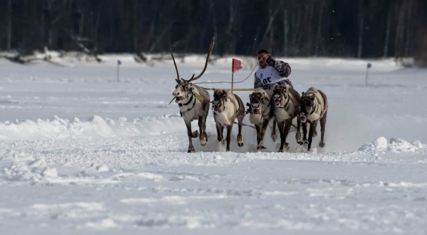 siberia.jpg