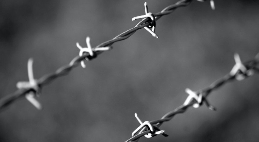 wire.jpg