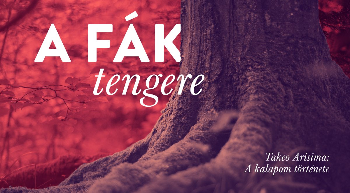 a_fak_tengere_1.jpg