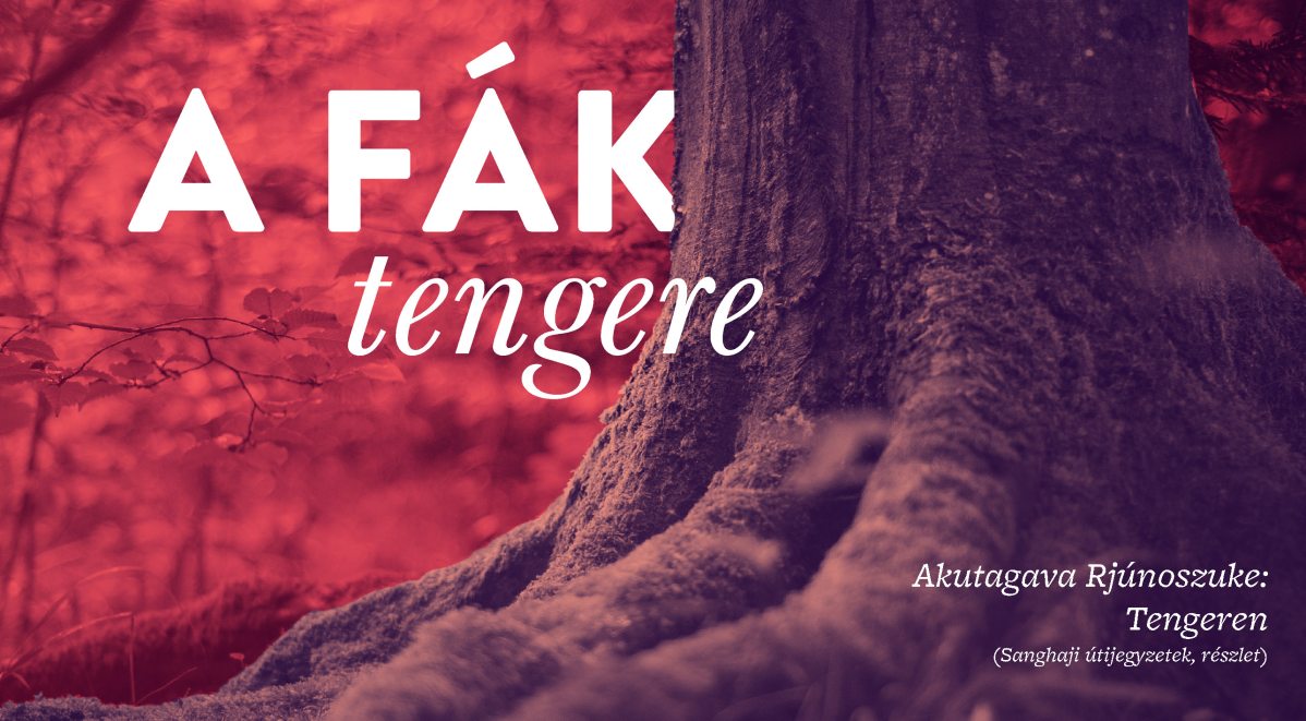 a_fak_tengere_2.jpg
