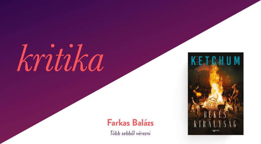 1749_kritika_26_05_28.jpg